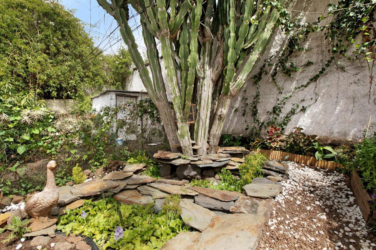 Apartamento Jardin Del Sol Tacoronte Eksteriør billede
