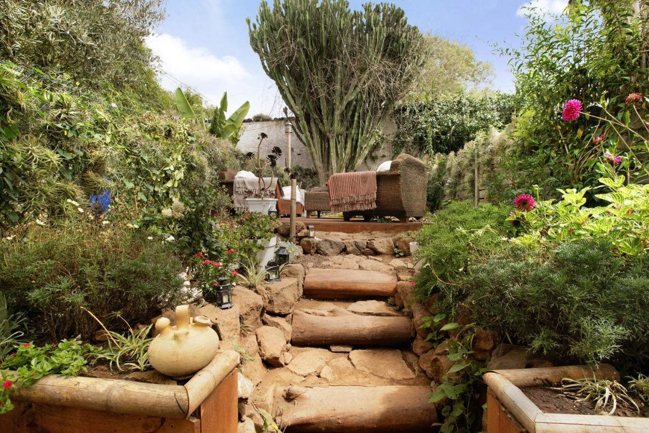 Apartamento Jardin Del Sol Tacoronte Eksteriør billede